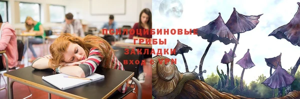 прущий лед Алексеевка