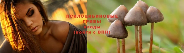 соль курить ск Алексин