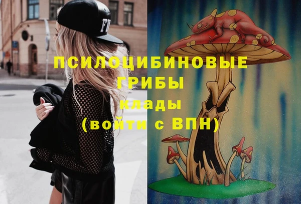 прущий лед Алексеевка