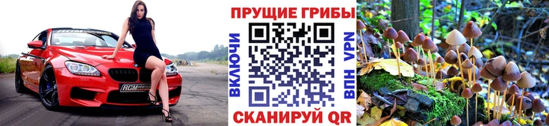 Галлюциногенные грибы мицелий  купить   blacksprut ссылка  Тейково 